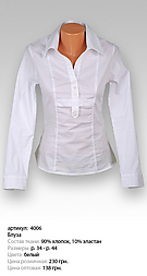 Блуза. Артикул: 4006